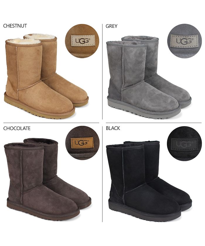 クラシックショートII  UGG