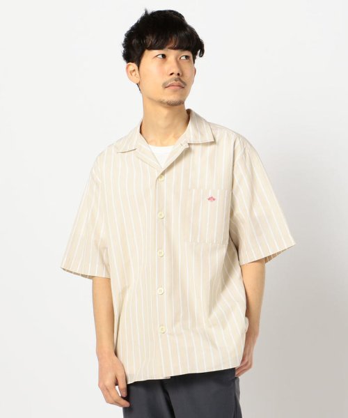 GLOSTER(GLOSTER)/【DANTON/ダントン】コットンポプリン ワイドシャツ #JD－3609/img01