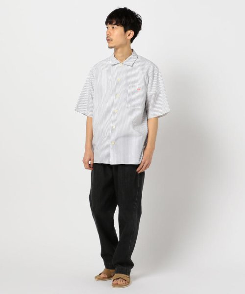 GLOSTER(GLOSTER)/【DANTON/ダントン】コットンポプリン ワイドシャツ #JD－3609/img13