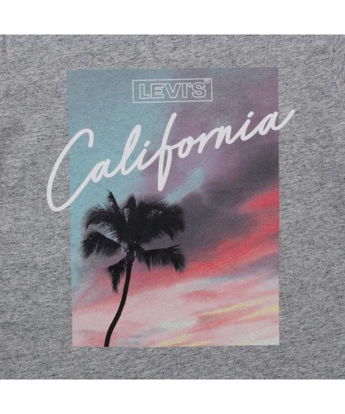 Levi's(リーバイス)/パーフェクトTシャツ  PINK CALIFORNIA SKIES SMOKESTACK/img06