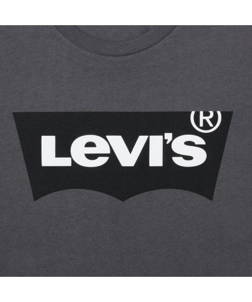 Levi's(リーバイス)/HOUSEMARK グラフィックTシャツ SSNL HM FORGE IRON/img06