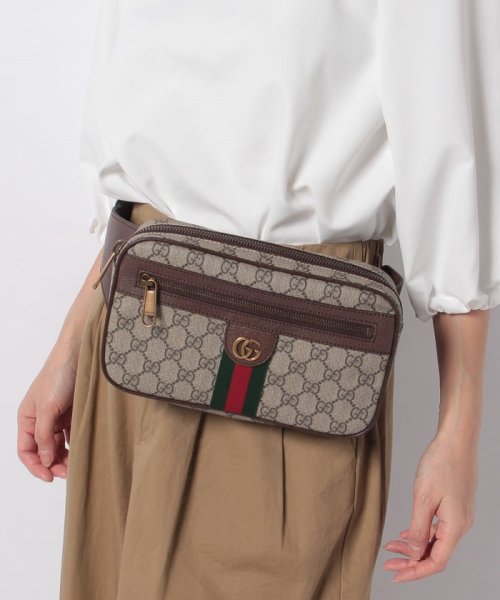 GUCCI(グッチ)/【GUCCI】Ophidia GG Belt Bag M/img05