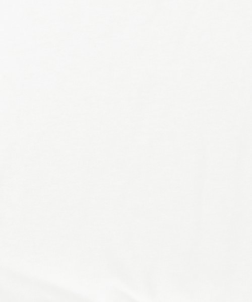 Rocky Monroe(ロッキーモンロー)/スウェット メンズ レディース トレーナー ビッグシルエット ワイド オーバーサイズ ショート丈 ボックス 綿 コットン 裏毛 カジュアル シンプル ストリート/img04