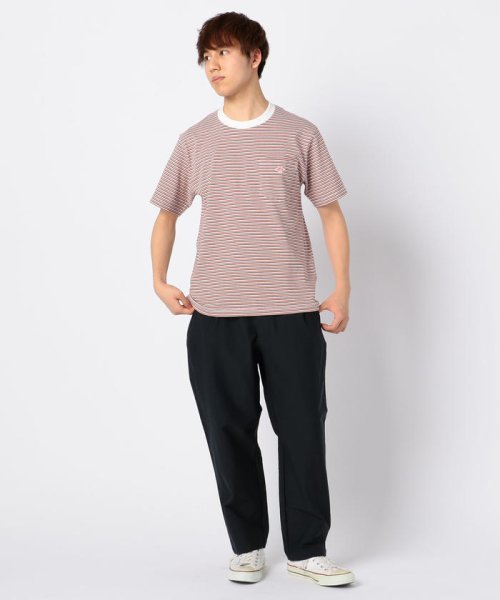 GLOSTER(GLOSTER)/【DANTON/ダントン】ポケットTシャツ #JD－9041/img15