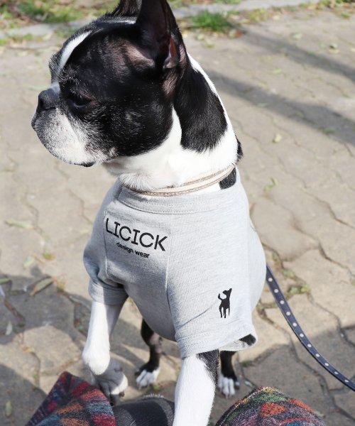 Rocky Monroe(ロッキーモンロー)/ドッグウエア 犬服 ペアルック ペットとお揃い 小型犬 中型犬 LICICK リシック 8661/img14