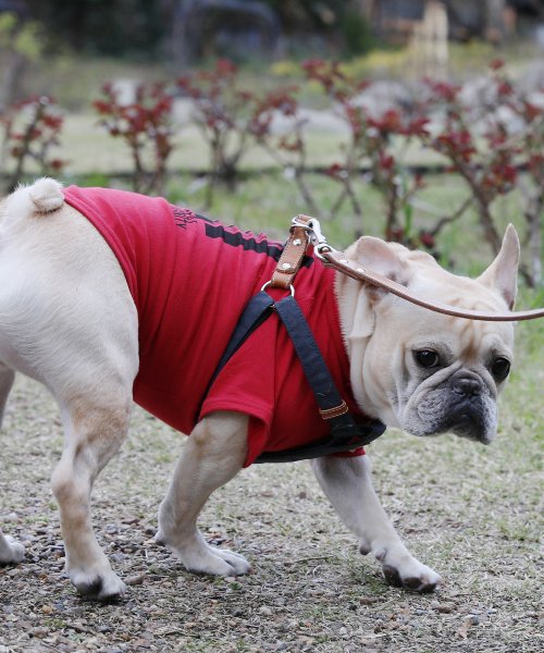 Rocky Monroe(ロッキーモンロー)/ドッグウエア 犬服 ペアルック ペットとお揃い 小型犬 中型犬 LICICK リシック 8661/img44