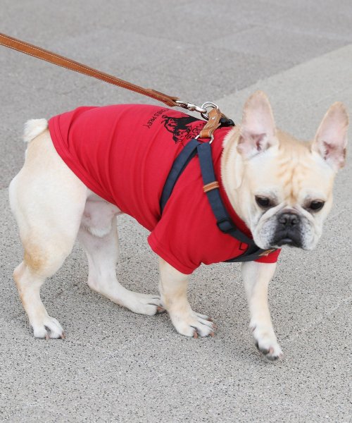 Rocky Monroe(ロッキーモンロー)/ドッグウエア 犬服 ペアルック ペットとお揃い 小型犬 中型犬 LICICK リシック 8661/img50