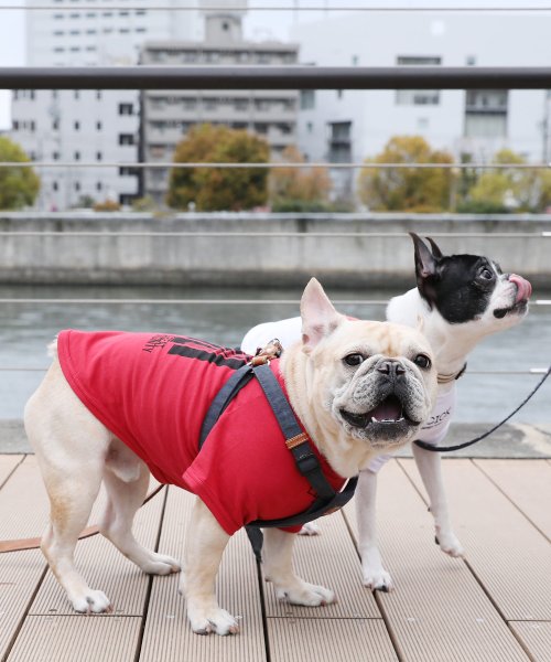 Rocky Monroe(ロッキーモンロー)/ドッグウエア 犬服 ペアルック ペットとお揃い 小型犬 中型犬 LICICK リシック 8661/img70