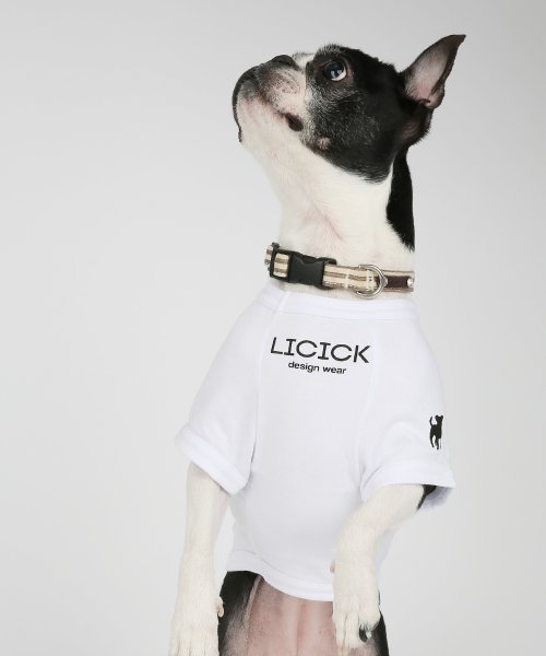 Rocky Monroe(ロッキーモンロー)/ドッグウエア 犬服 ペアルック ペットとお揃い 小型犬 中型犬 LICICK リシック 8662/img04