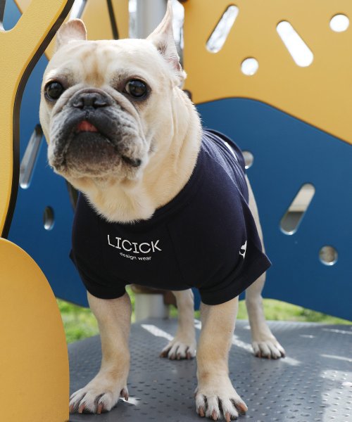 Rocky Monroe(ロッキーモンロー)/ドッグウエア 犬服 ペアルック ペットとお揃い 小型犬 中型犬 LICICK リシック 8662/img33