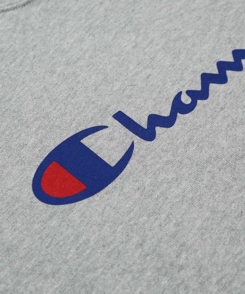 Rocky Monroe(ロッキーモンロー)/パーカー メンズ スウェット 長袖 Champion チャンピオン BASIC ベーシック ロゴ 刺繍 フード付き フーディー プルオーバー C3－J117 8/img24