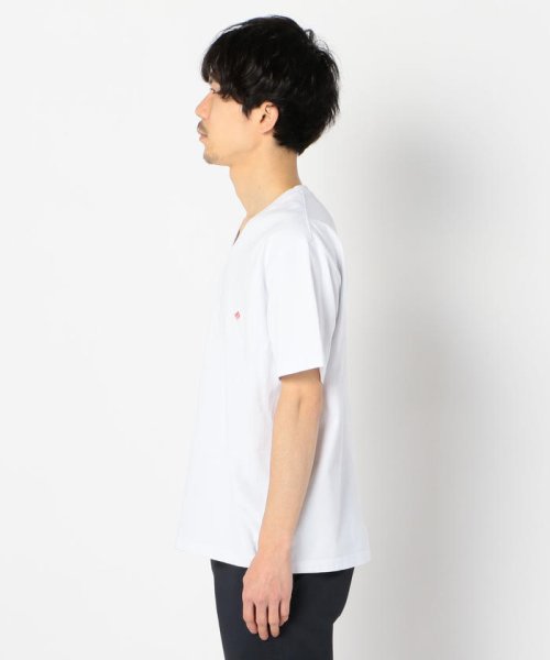 GLOSTER(GLOSTER)/【DANTON/ダントン】VネックTシャツ #JD－9213/img02