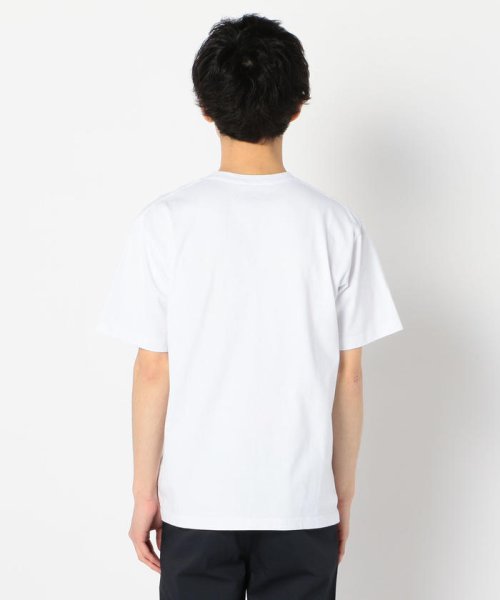 GLOSTER(GLOSTER)/【DANTON/ダントン】VネックTシャツ #JD－9213/img03