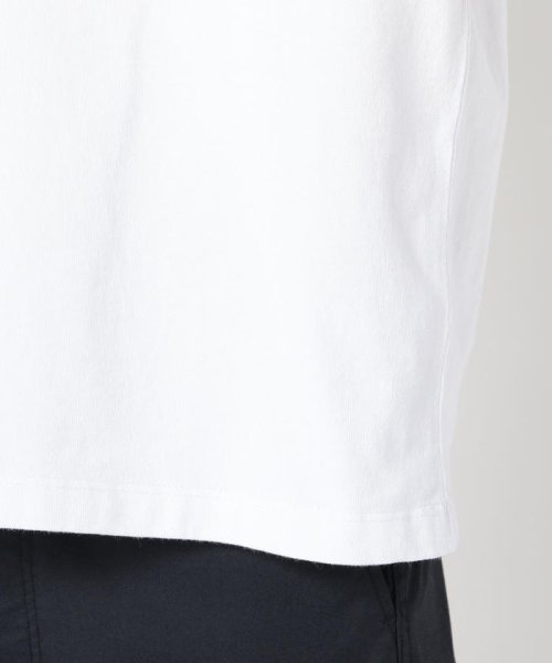 GLOSTER(GLOSTER)/【DANTON/ダントン】VネックTシャツ #JD－9213/img06