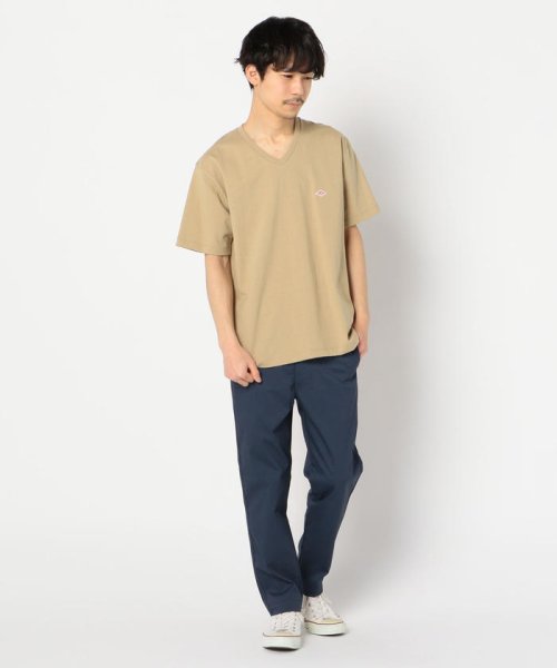GLOSTER(GLOSTER)/【DANTON/ダントン】VネックTシャツ #JD－9213/img15