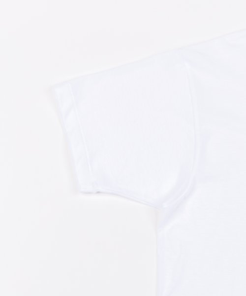 Rocky Monroe(ロッキーモンロー)/Hanes ヘインズ パックTシャツ メンズ 半袖 クルーネック Vネック HM2115G HM2125G 綿 コットン 3枚組 アオラベル セット 青パック /img21