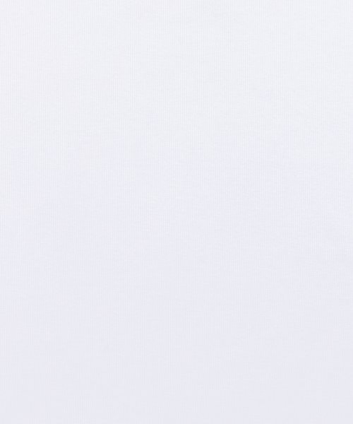 Rocky Monroe(ロッキーモンロー)/Hanes ヘインズ BEEFY－T ビーフィーT パックTシャツ メンズ タフ コットン 綿 シンプル カジュアル ヘビーウェイト 肉厚 ストレッチ リブ ギ/img05