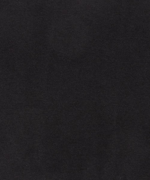 Rocky Monroe(ロッキーモンロー)/Hanes ヘインズ BEEFY－T ビーフィーT パックTシャツ メンズ タフ コットン 綿 シンプル カジュアル ヘビーウェイト 肉厚 ストレッチ リブ ギ/img09