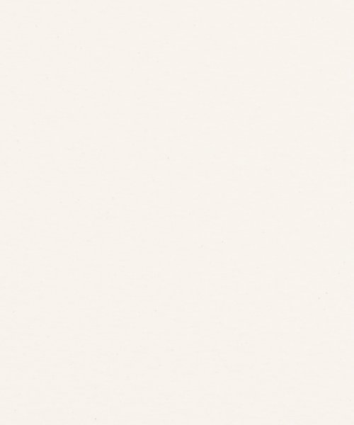 Rocky Monroe(ロッキーモンロー)/Tシャツ メンズ レディース 半袖 無地 白 黒 ゆったり 丸首 クルーネック カジュアル 春夏 カップル ペア お揃い FRUIT OF THE LOOM フ/img26