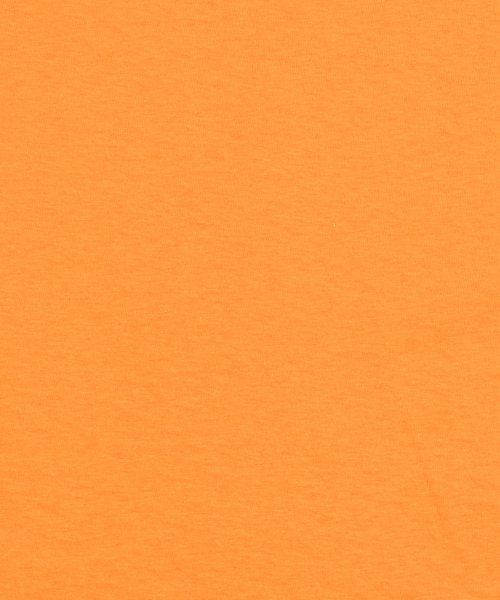 Rocky Monroe(ロッキーモンロー)/Tシャツ メンズ レディース 半袖 無地 白 黒 ゆったり 丸首 クルーネック カジュアル 春夏 カップル ペア お揃い FRUIT OF THE LOOM フ/img67