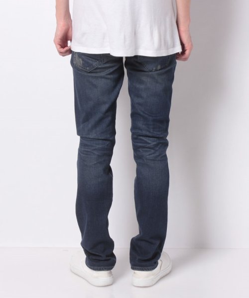 AG(エージー)/【MENS】TELLIS 10Y WESTWARD MENDED /img02