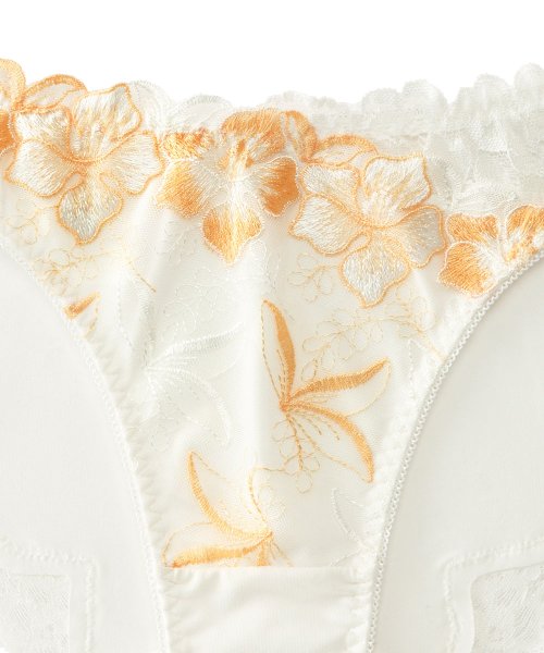 セール Doux Fleur カシュクール プレーンショーツ 下着 レディース パンティ パンツ かわいい レース パンティー シンプル 黒 白 花柄 可愛い レディ エメフィール Aimerfeel Magaseek