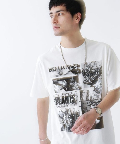 nano・universe(ナノ・ユニバース)/BOTANIZE別注　フォトプリントTシャツ/img11