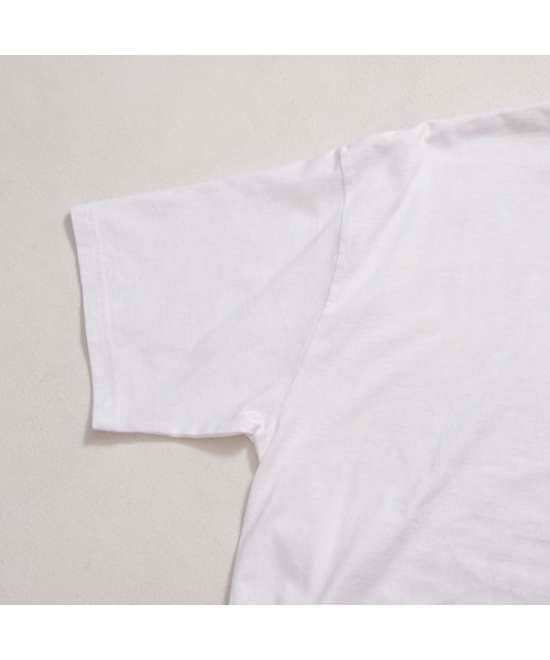 CavariA(キャバリア)/CavariA【キャバリア】ピグメントサーフ刺繍Tシャツ/img07