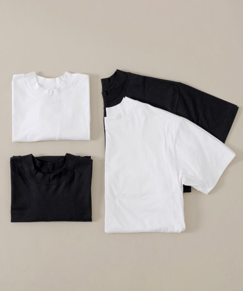 ADAM ET ROPE'(アダム　エ　ロペ)/【Hanes for BIOTOP】MOCK NECK PAC T－shirts(2pcs)/img20