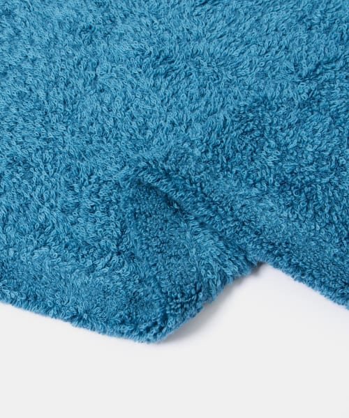 URBAN RESEARCH(アーバンリサーチ)/HIPPOPOTAMUS　BC BLEND Bath towel/img20