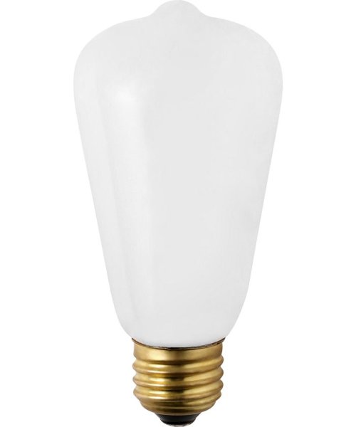 BRID(ブリッド)/VINTAGE LED BULB CLEAR_E26/img03