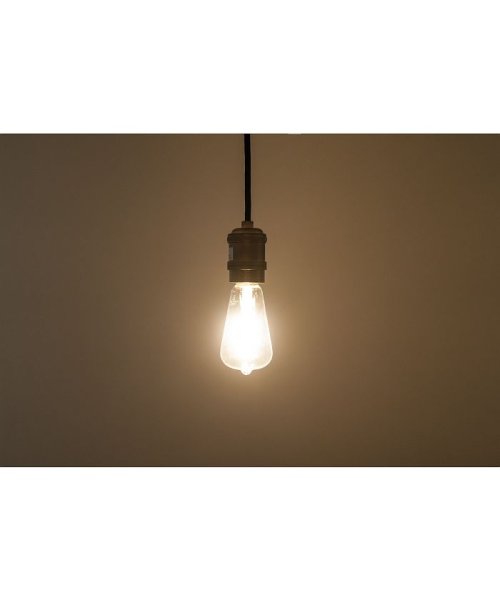 BRID(ブリッド)/VINTAGE LED BULB CLEAR_E26/img06