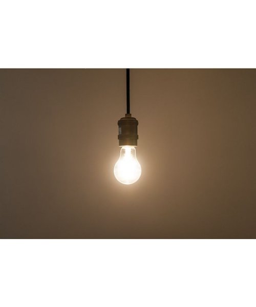 BRID(ブリッド)/VINTAGE NORMAL LED BULB CLEAR_E26/img03