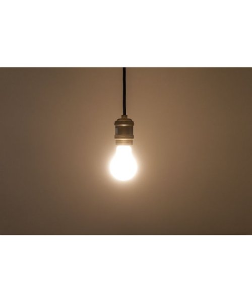 BRID(ブリッド)/VINTAGE NORMAL LED BULB CLEAR_E26/img04