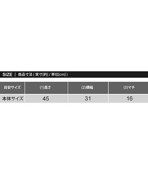 TopIsm(トップイズム)/Dickiesディッキーズ2フロントポケットデイパック/img12