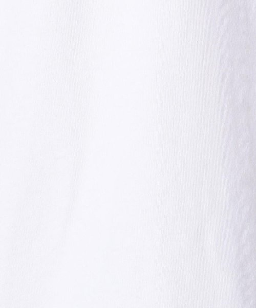 GLOSTER(GLOSTER)/【DANTON/ダントン】ポケット付Tシャツ #JD－9041/img10