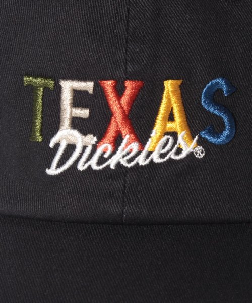 Dickies(Dickies)/TEXAS LOW CAP/img04