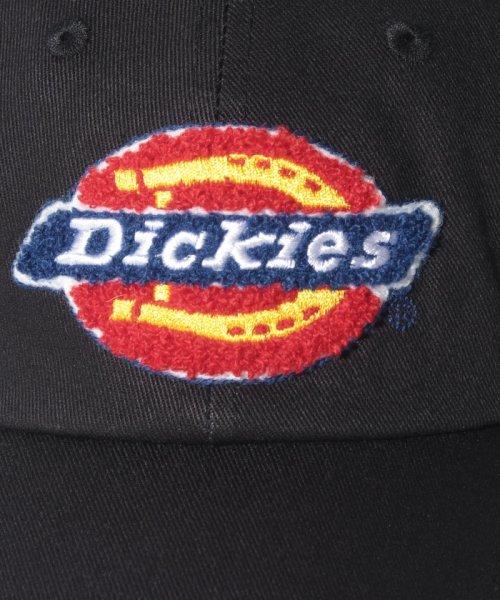Dickies(Dickies)/相良刺繍 LOW CAP/img04