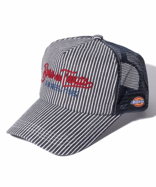 Dickies(Dickies)/CHAIN EMB MESH CAP/img01