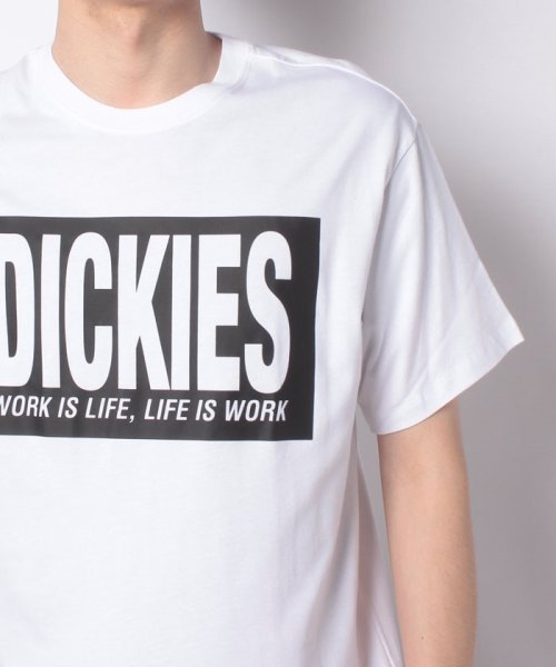 Dickies(Dickies)/【Ｄickies】 ディッキーズ ボックスロゴ 半袖　Tシャツ ユニセックス/img10