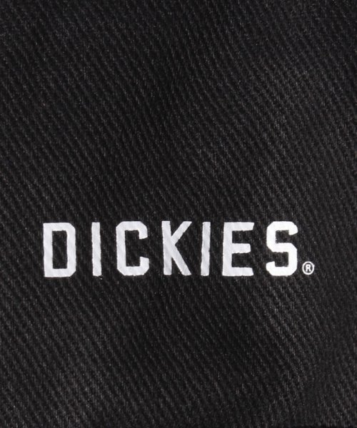 Dickies(Dickies)/REBUILD WAIST BAG M/img04