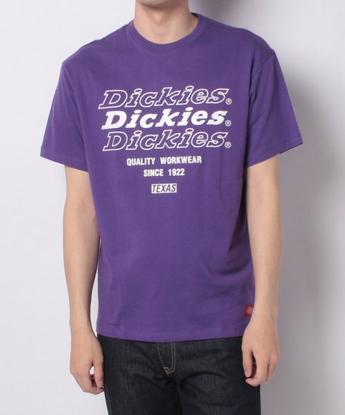 Dickies(Dickies)/【Ｄickies】 ディッキーズ グラッフィックプリント 半袖　Tシャツ ユニセックス/img13