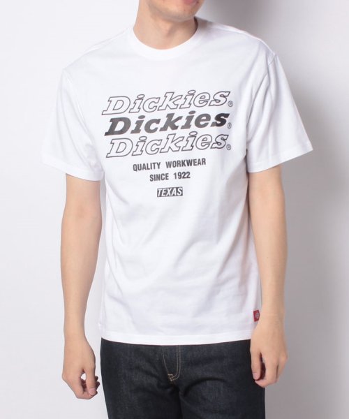 Dickies(Dickies)/【Ｄickies】 ディッキーズ グラッフィックプリント 半袖　Tシャツ ユニセックス/img14