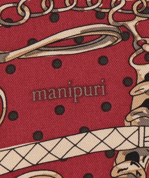 SHIPS WOMEN(シップス　ウィメン)/manipuri:65×65プリントスカーフ/img12