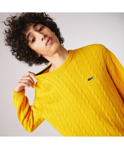ケーブル編みニットセーター ラコステ メンズ Lacoste Mens Magaseek