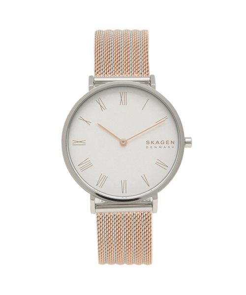 スカーゲン 腕時計 レディース Skagen 国内正規総代理店アイテム Skw2815 シルバー ゴールド