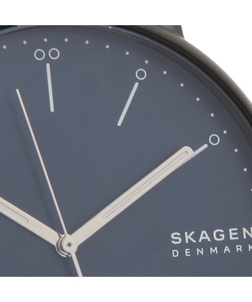 SKAGEN(スカーゲン)/スカーゲン 腕時計 メンズ SKAGEN SKW6529 SIGNATUR シグネチャー メッシュ 45MM ブラック ブルー/img08