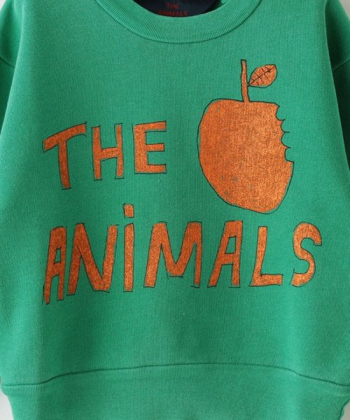 SHIPS KIDS(シップスキッズ)/The Animals Observatory:Baby Bear&Dog Sweater(90cm)/img08