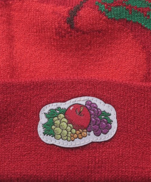 FRUIT OF THE LOOM(フルーツオブザルーム)/FRUIT KIDS KNIT WATCH/img02