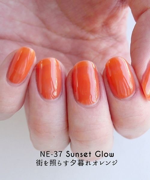 Homei ウィークリージェル Ne 37 ホーメイ Homei Magaseek